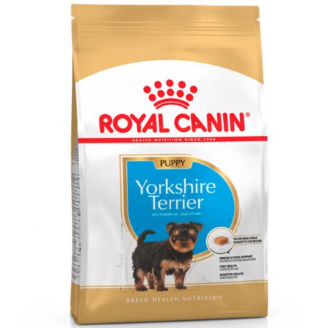 royalcaninyorkshireterrierpuppy4062