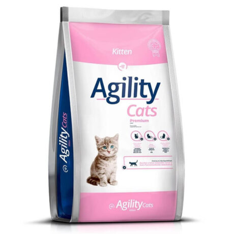 agility-cats-kitten