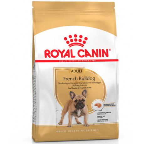 royalcaninbulldogfrancesadulto9035