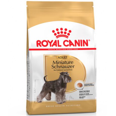 royalcaninschnauzeradulto2768